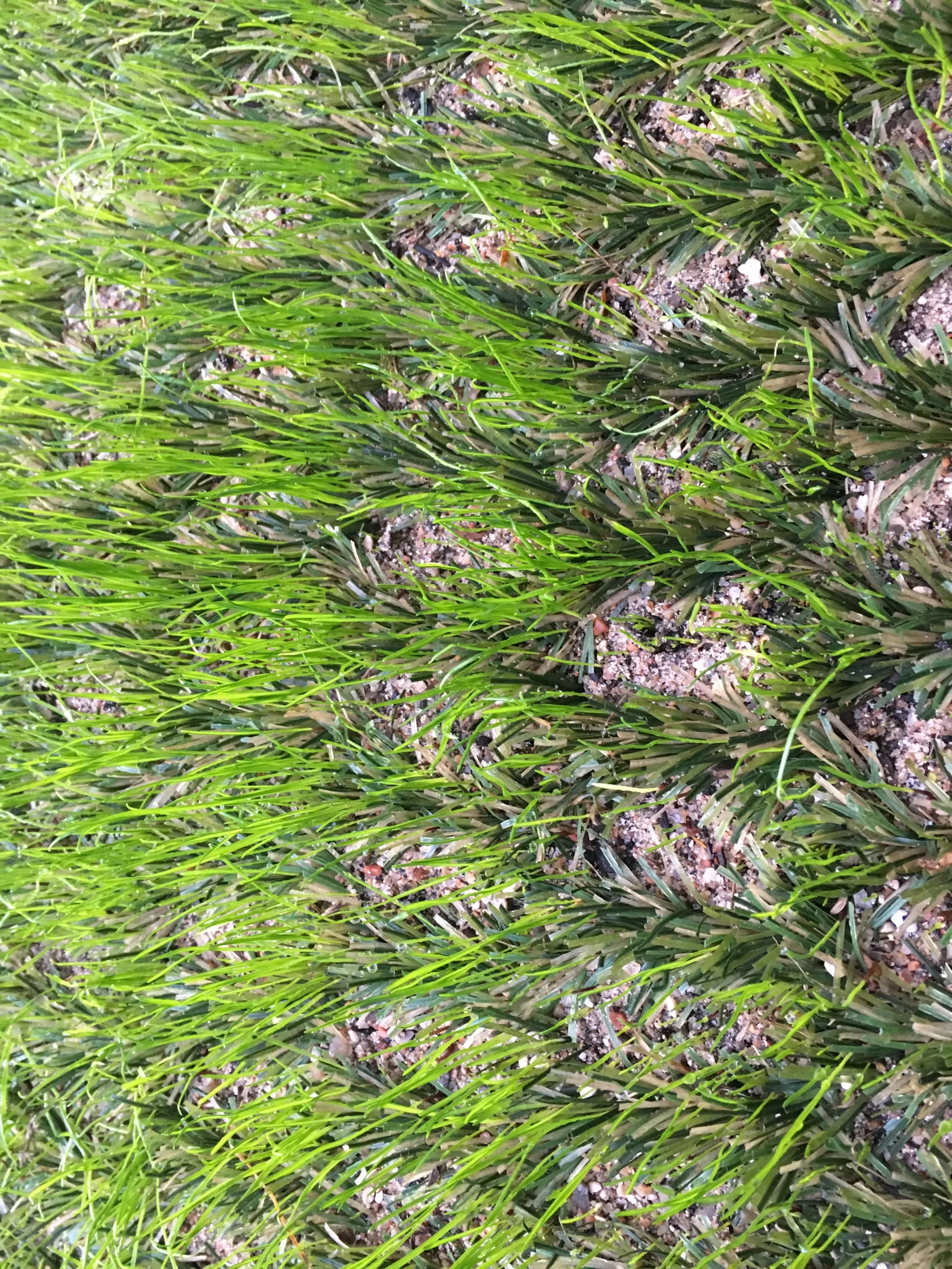 Nordic Lawn referencia 6