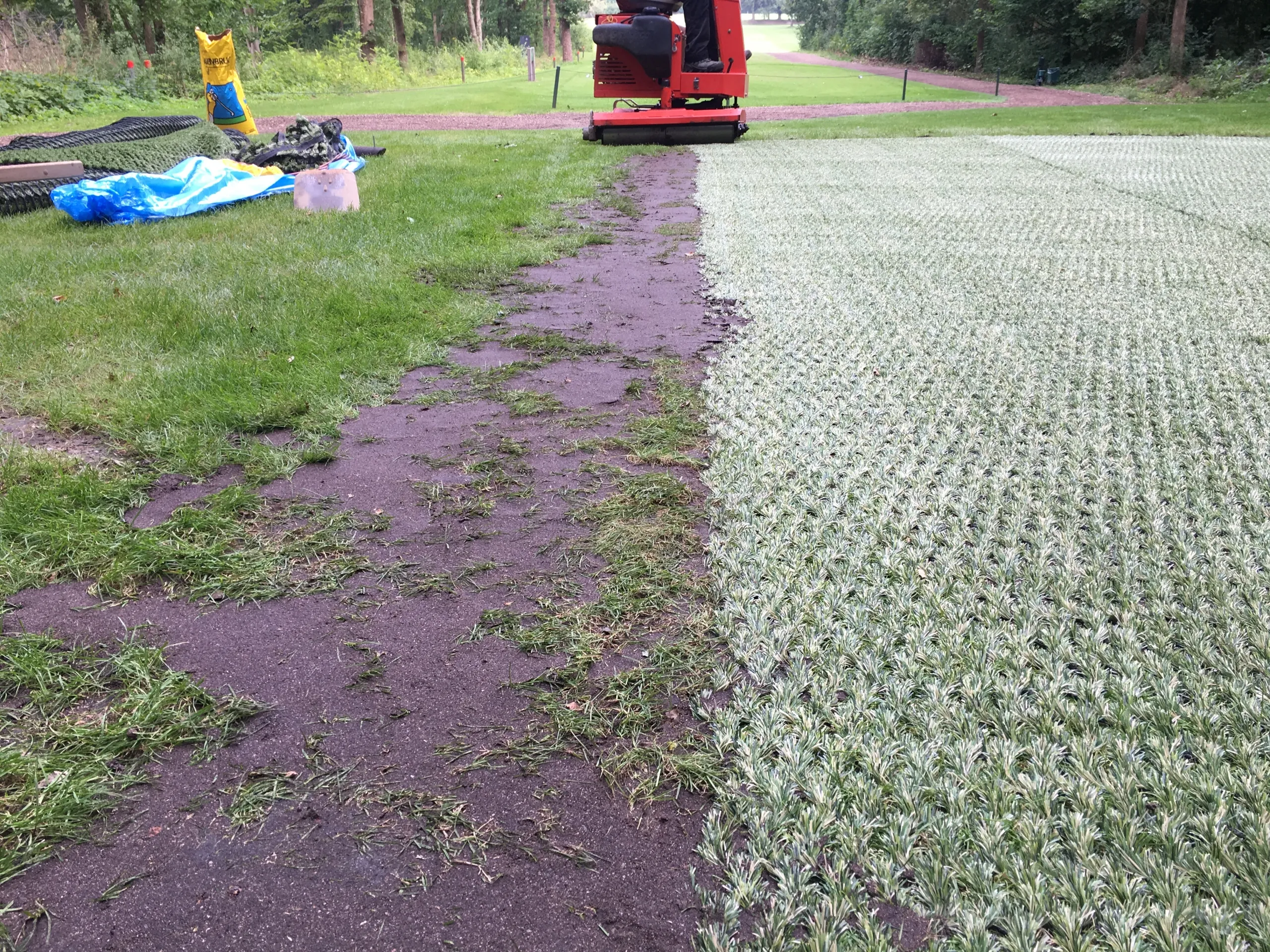 Nordic Lawn referencia 8