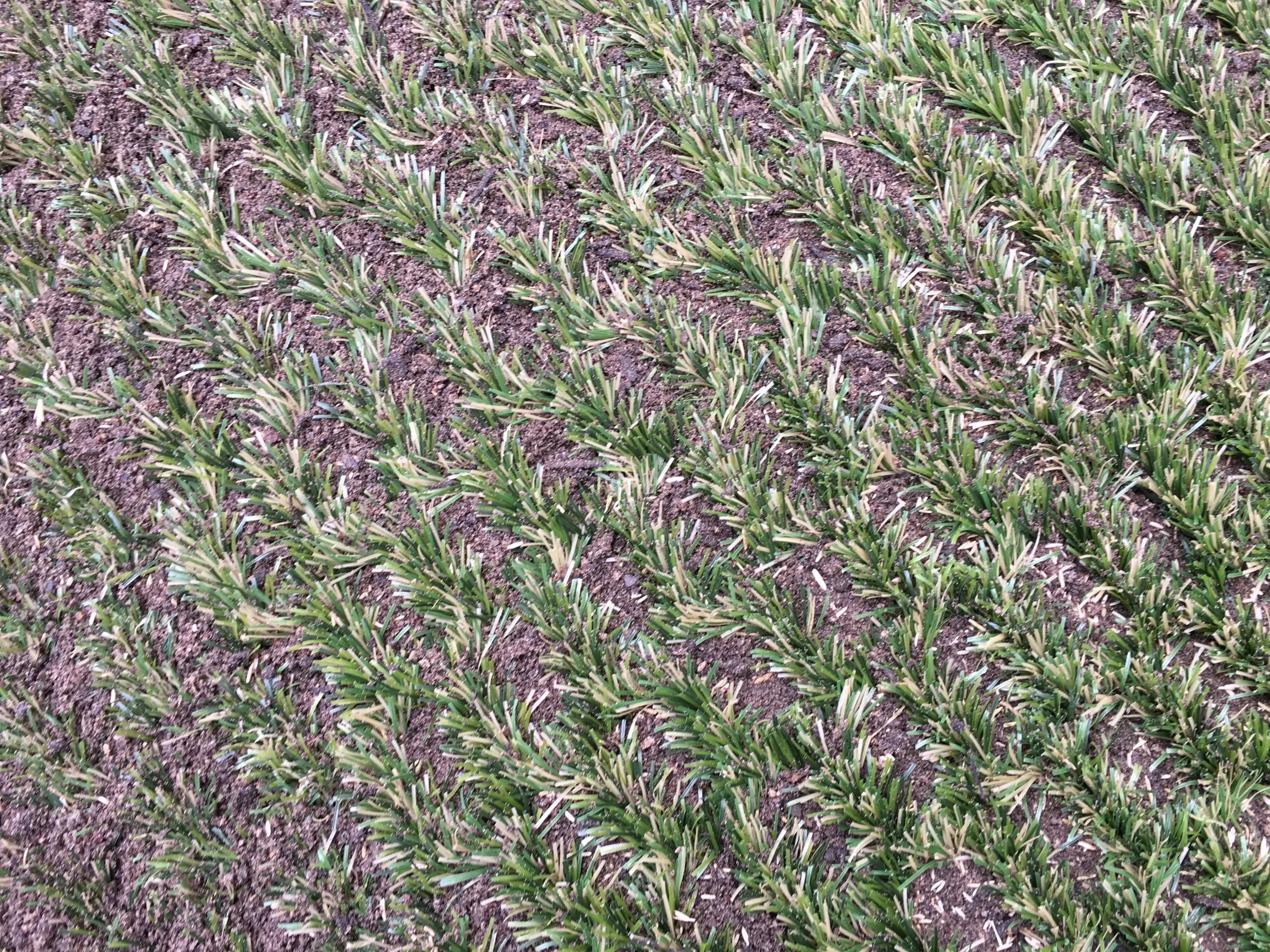 Nordic Lawn referencia 10