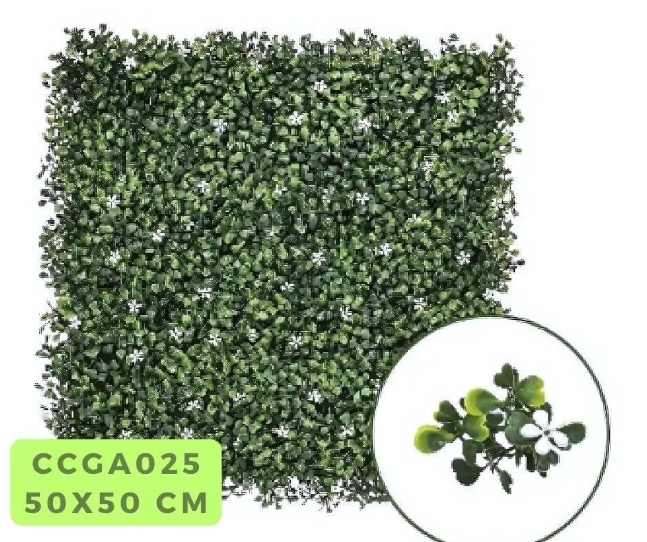 Pachysandra(N)