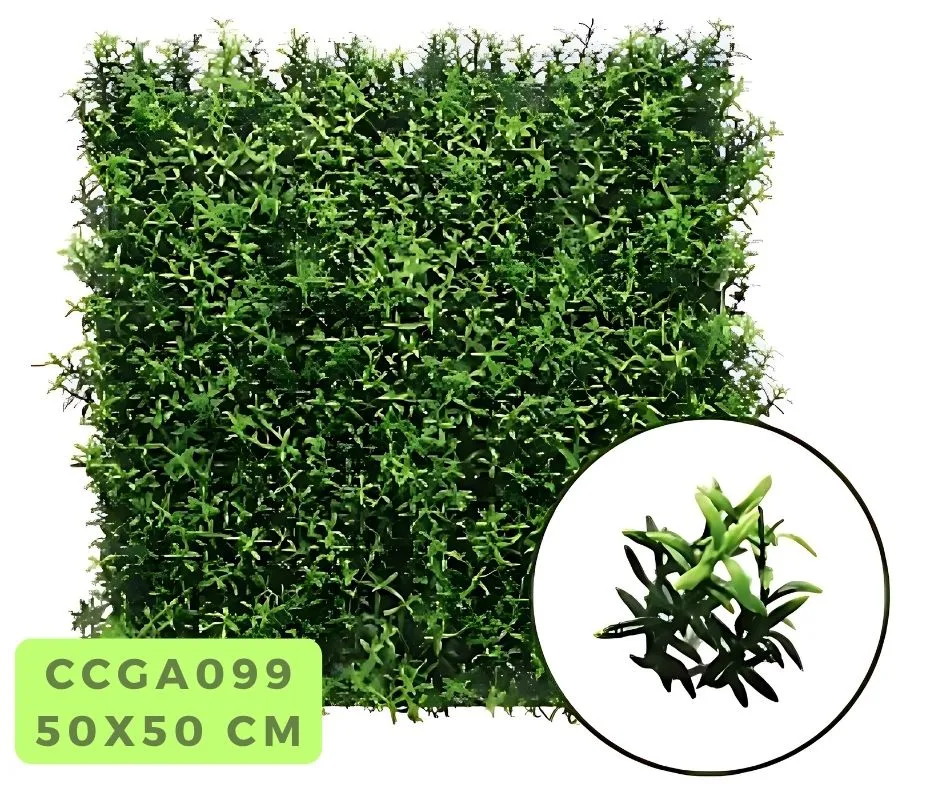 Rosemary(DG)