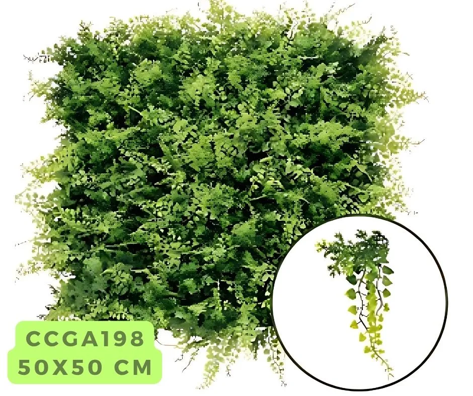 Fern