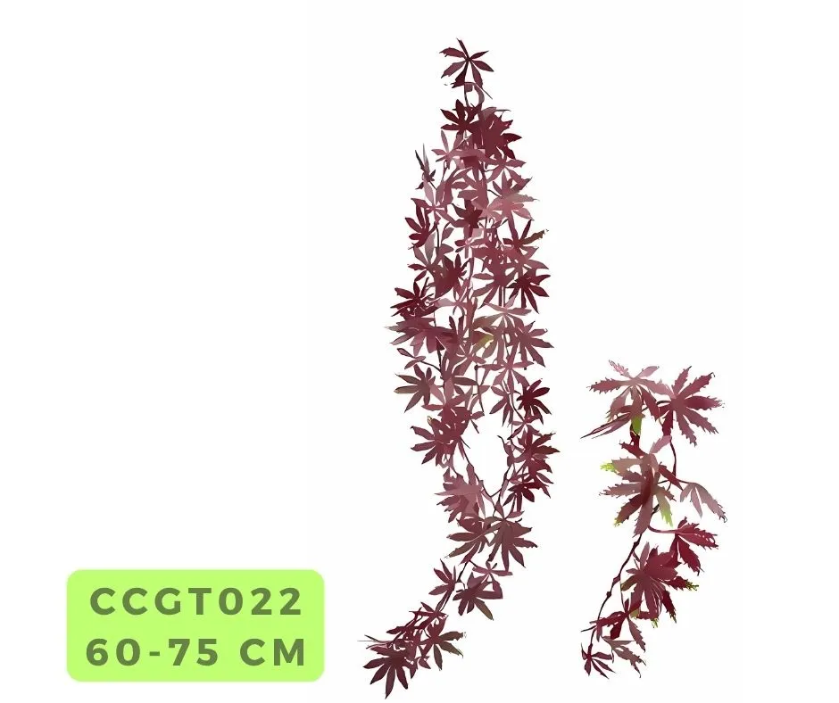 Red Maple