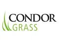 Condor Grass